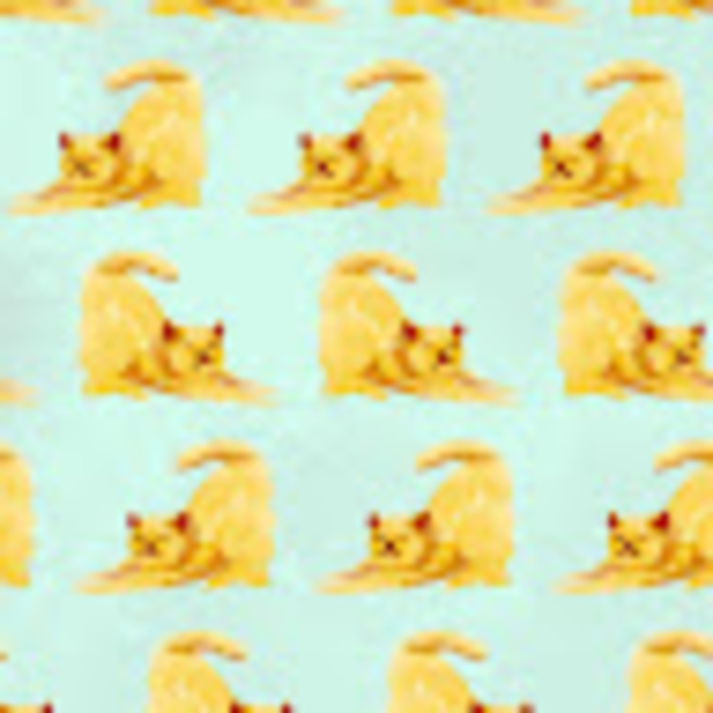 Meet your Posher, Jenny